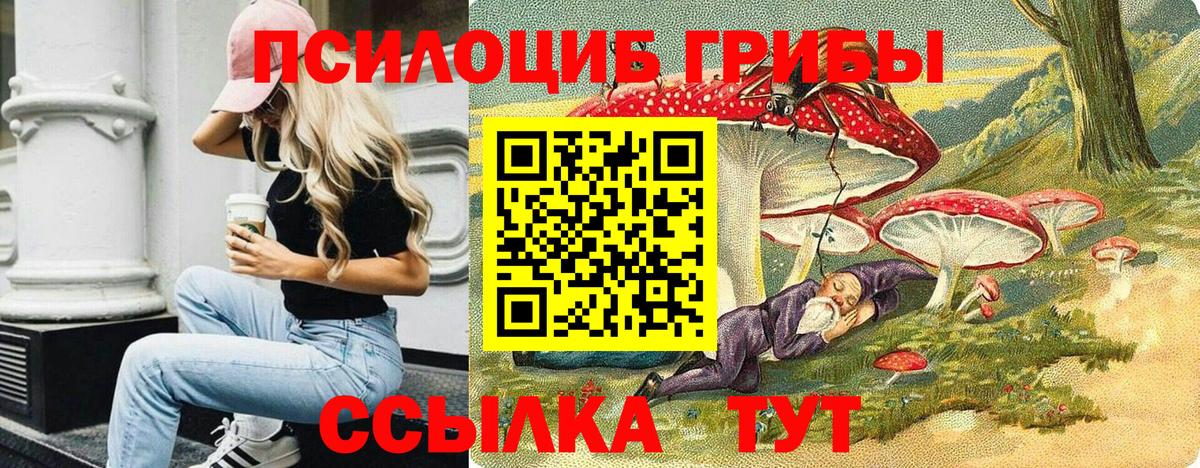 Электросталь  купить наркотик  Вход с VPN  Псилоцибиновые грибы Psilocybe 